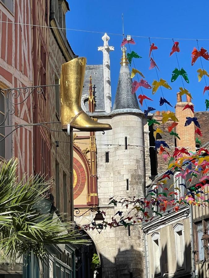 Le Pigeonnier Centre Historique Auxerre Apartment Екстериор снимка