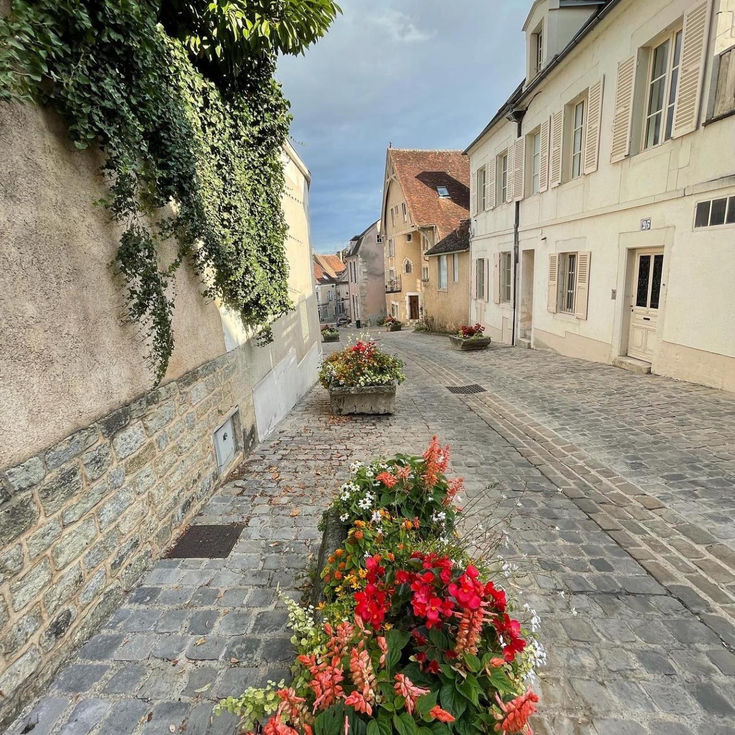 Le Pigeonnier Centre Historique Auxerre Apartment Екстериор снимка